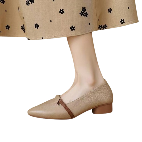 Zapatos de mujer de punta y tacón bajo