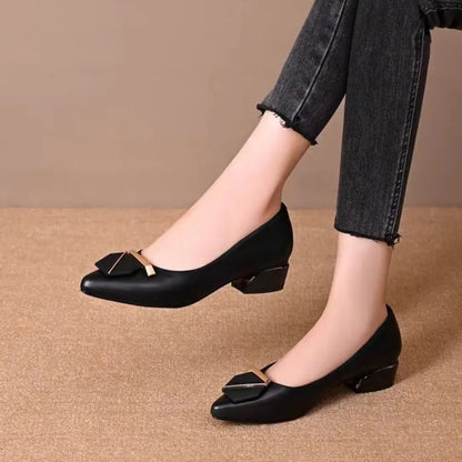 Zapatos de Dama Elegantes con Tacón Bajo y Hebilla