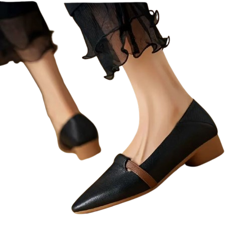Zapatos de mujer de punta y tacón bajo